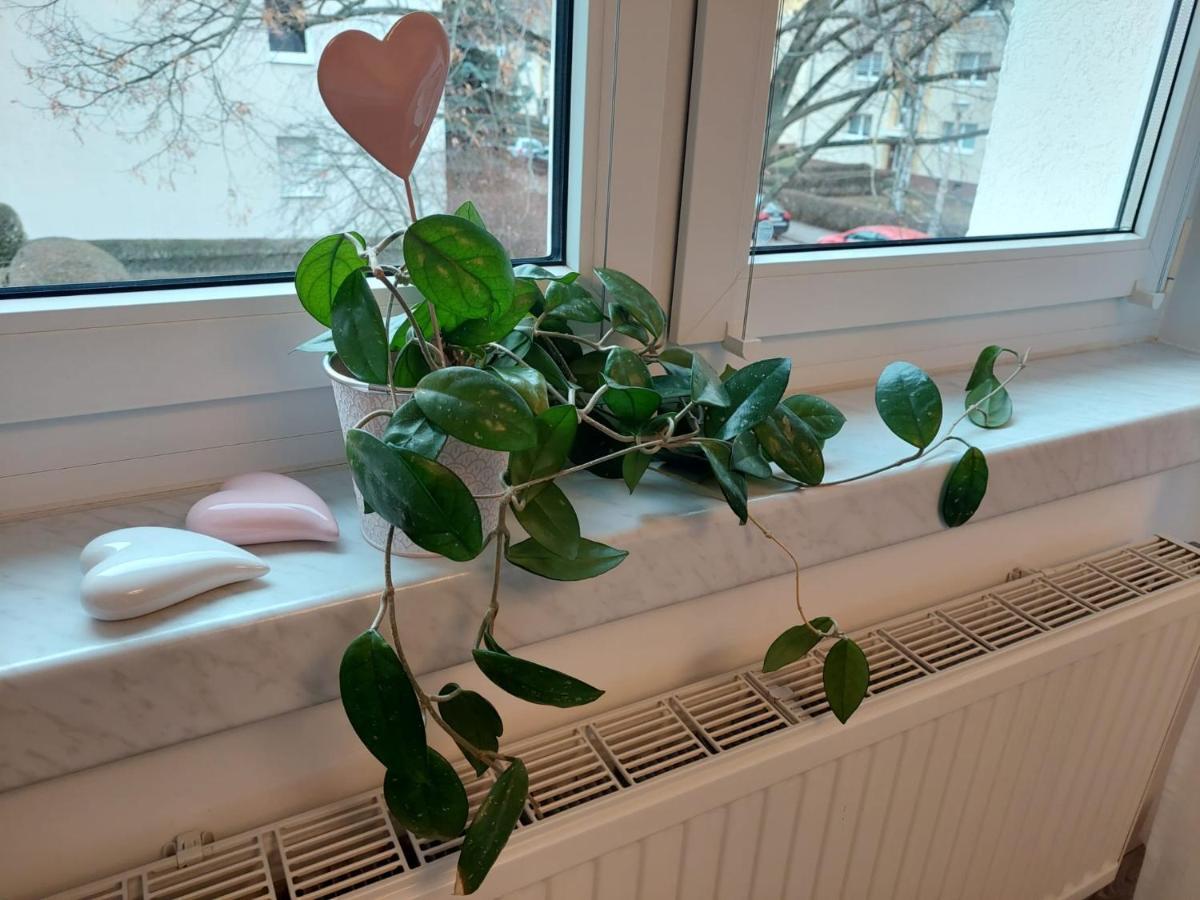 Helles Modern Eingerichtetes Apartment Halle  Zewnętrze zdjęcie