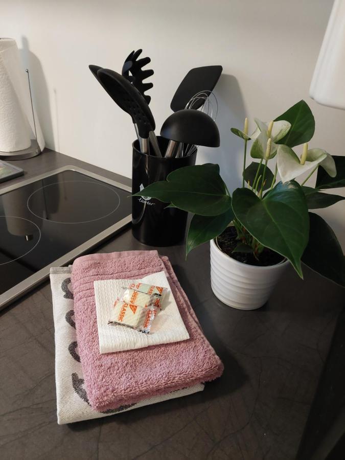 Helles Modern Eingerichtetes Apartment Halle  Zewnętrze zdjęcie